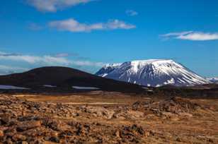 Blafjallshalar mountain-9394